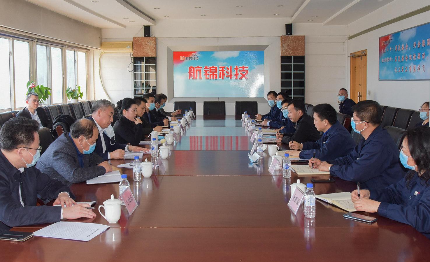 5201587433080357.jpg 冯英副市长、陈远锦副市长来公司调研_副本.jpg
