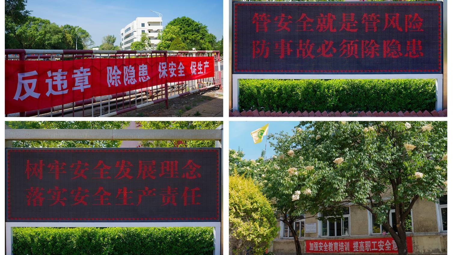 6961655451176219.jpg 光影魔术手拼图3.jpg